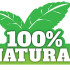 100% Natural Link Building SEO Strategies